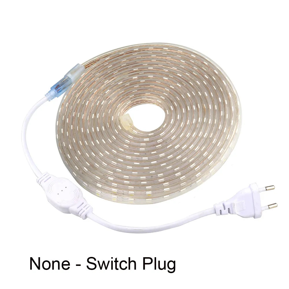 AC 220V Eu Plug In LED Strips Light SMD 5050 60LEDS/M IP65 Waterproof Garden Home Living Room Kitchen Flexible Rope Tape Lamp