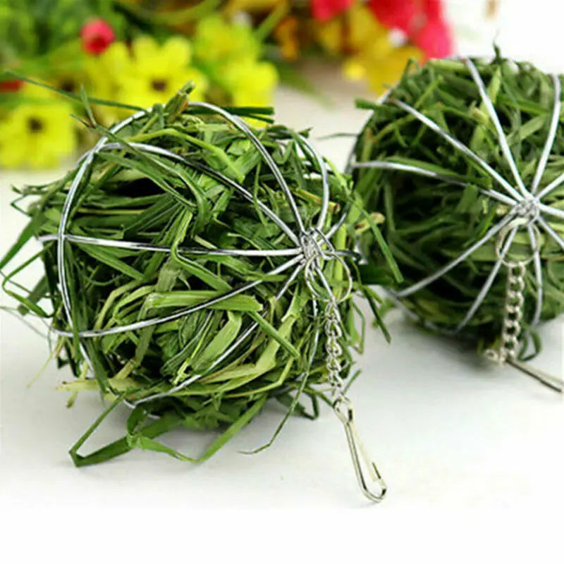 Stainless Steel Round Sphere Feed Dispense Exercise Hanging Hay Ball Guinea Pig Hamster Rabbit Electroplating Grass Ball Pet Toy