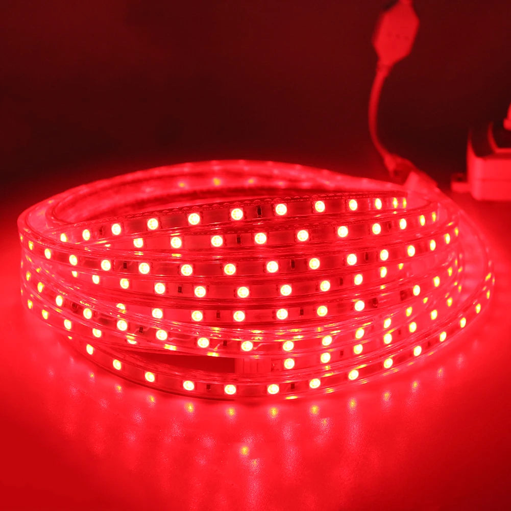 AC 220V Eu Plug In LED Strips Light SMD 5050 60LEDS/M IP65 Waterproof Garden Home Living Room Kitchen Flexible Rope Tape Lamp