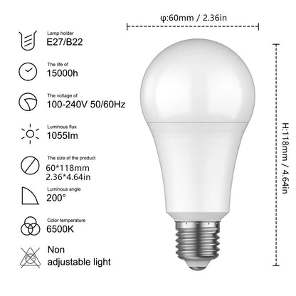 daylight white LED bulbs