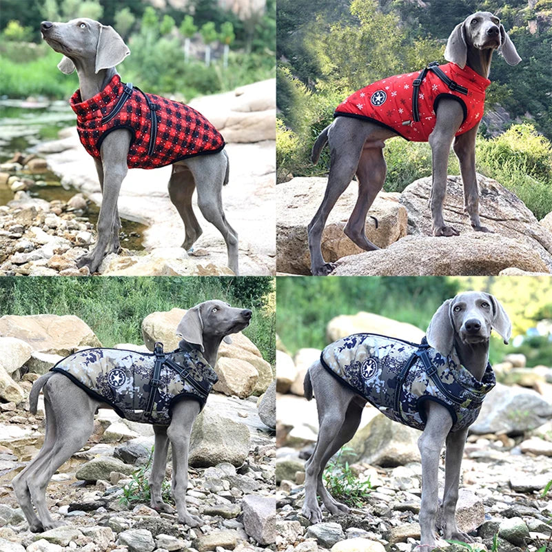 Introducing the CDDMPET Winter Dog Clothes - Your Perfect Companion for Autumn/Winter Strolls