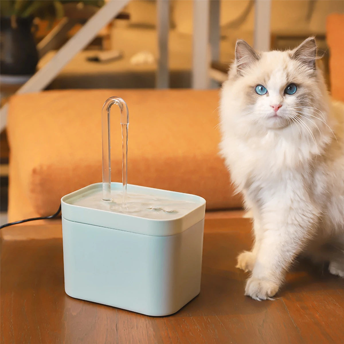 Pet Water Dispenser